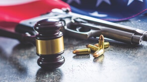 State Firearm Law Updates